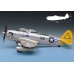 P-47N Special - ACA12281