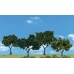 Scene A Rama - Deciduous Trees - 4150